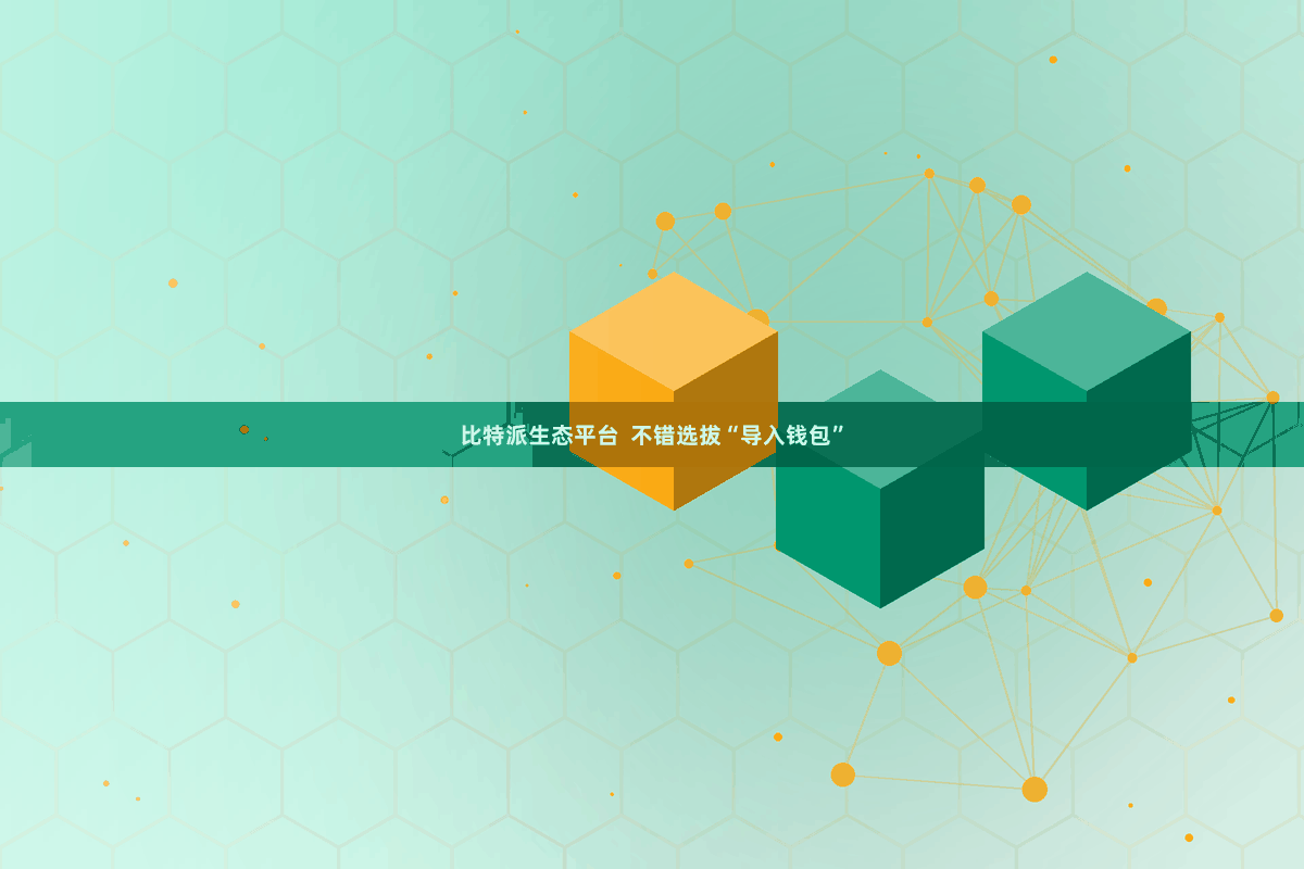 比特派生态平台  不错选拔“导入钱包”